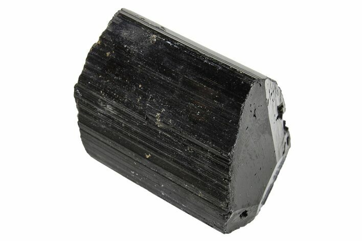 Terminated Black Tourmaline (Schorl) Crystal - Madagascar #295025